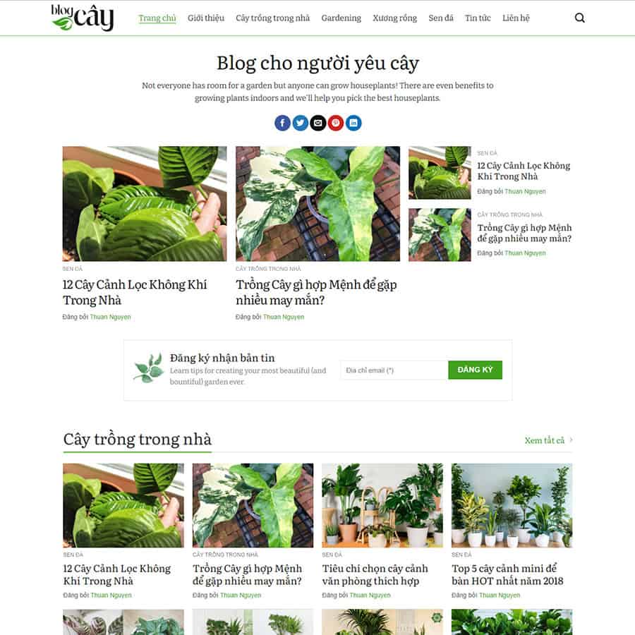tintuc12.webshg.com